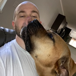DelayKnee's profile picture
